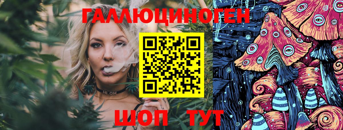 Москва  Псилоцибиновые грибы MAGIC MUSHROOMS  Вход с VPN 